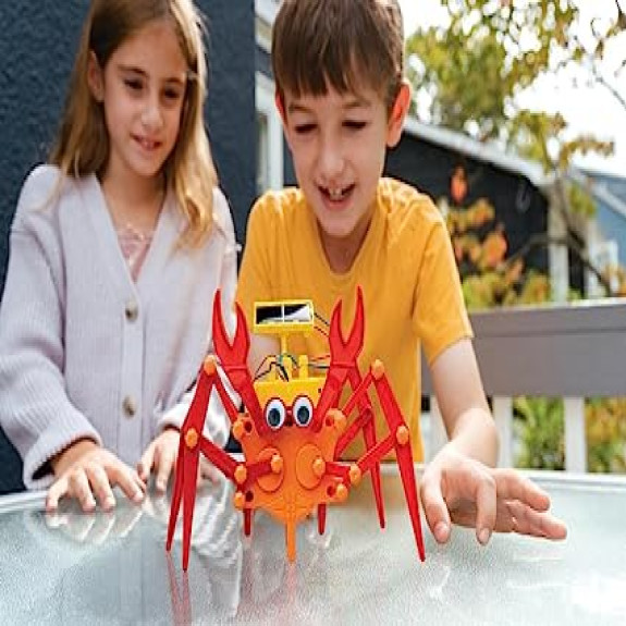 Hybrid Crabot